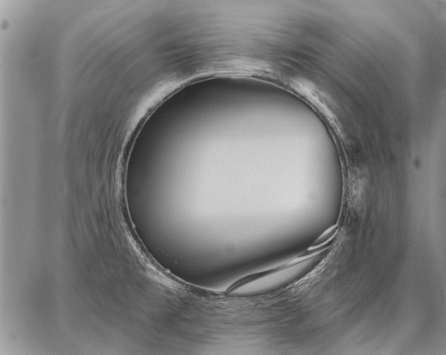 X0000086881477200704231050