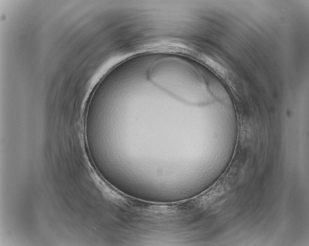 X0000086881478200704231050