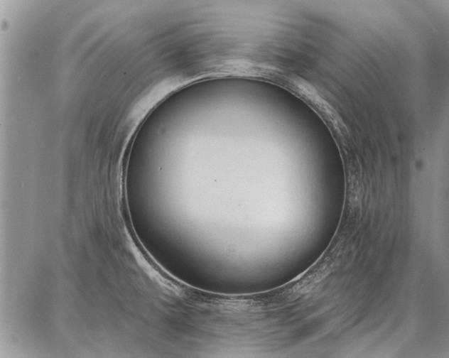 X0000086881479200704231050