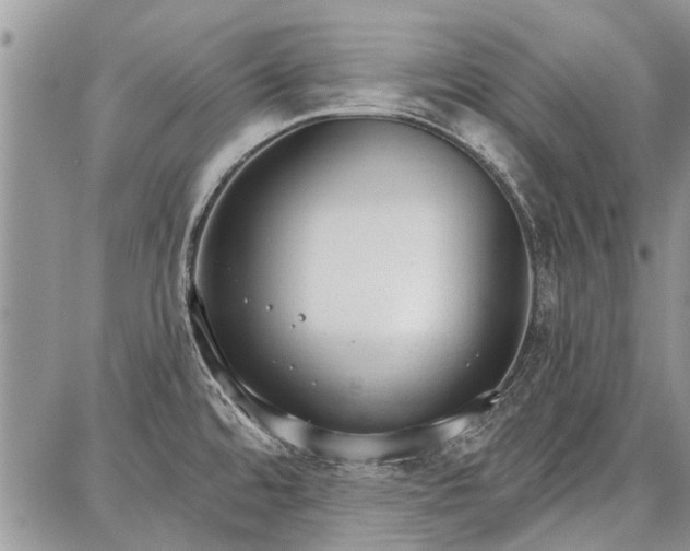 X0000086881480200704231050