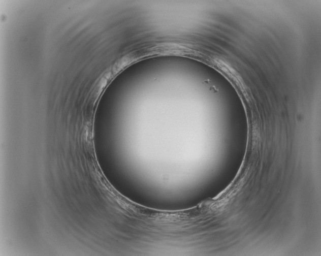 X0000086881481200704231050