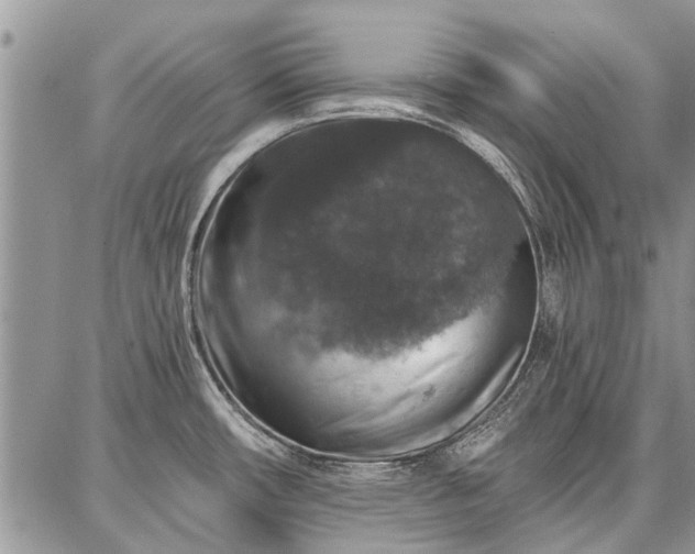 X0000086881482200704231050