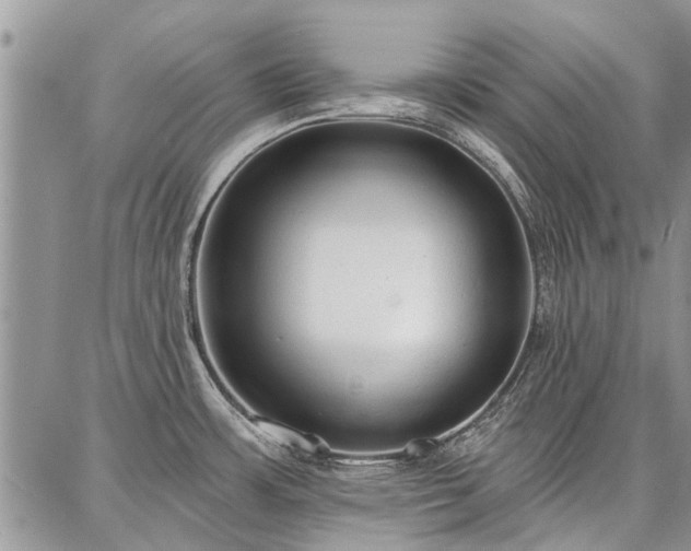 X0000086881483200704231050