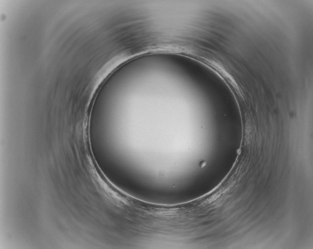 X0000086881484200704231050