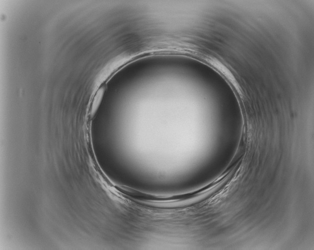 X0000086881485200704231050