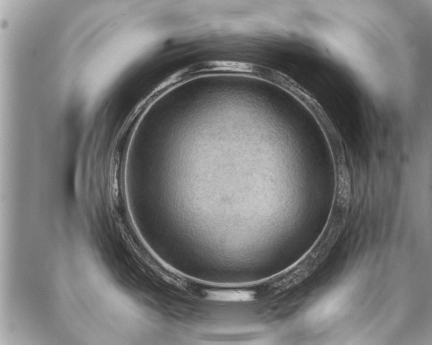 X0000086881487200704231050