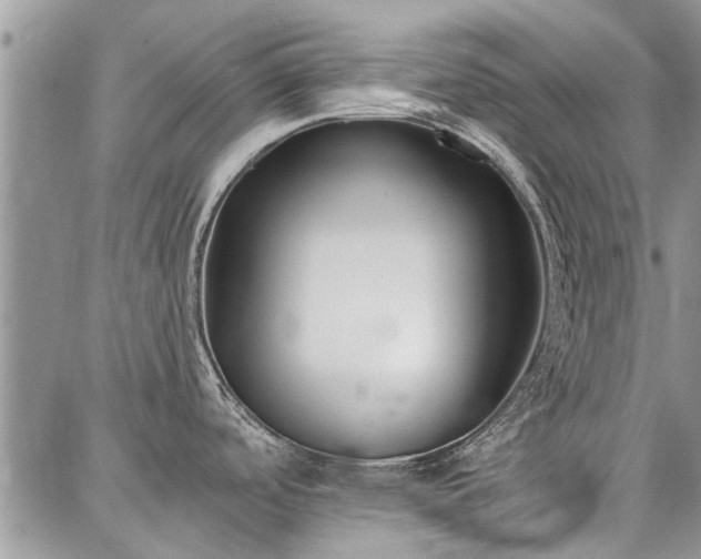 X0000086881488200704231050