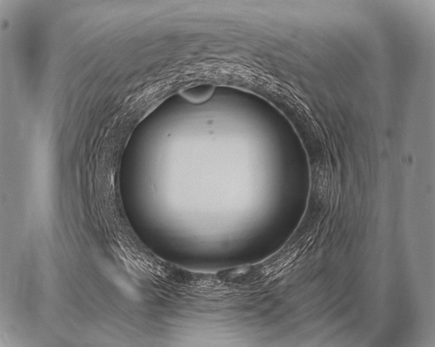 X0000086881489200704231049