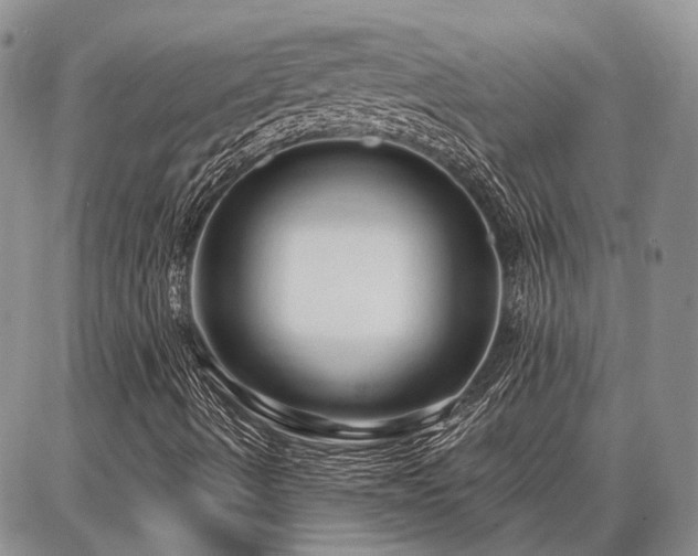 X0000086881490200704231049