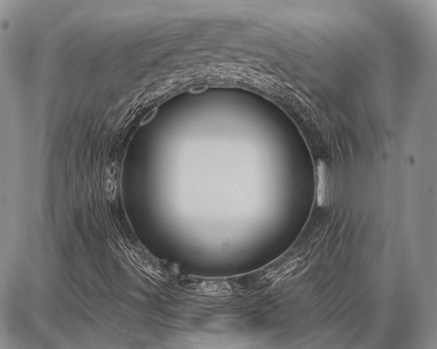 X0000086881491200704231049