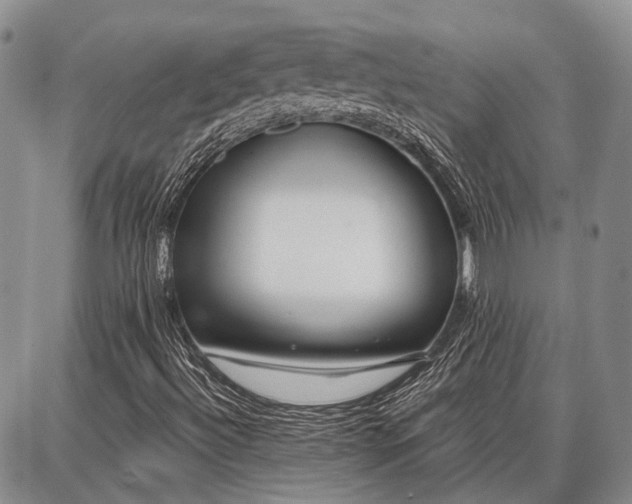 X0000086881492200704231049