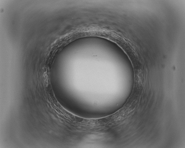 X0000086881493200704231049