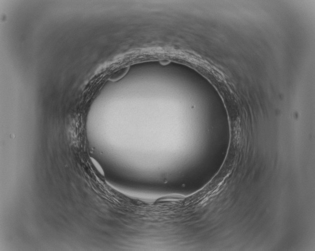 X0000086881494200704231049