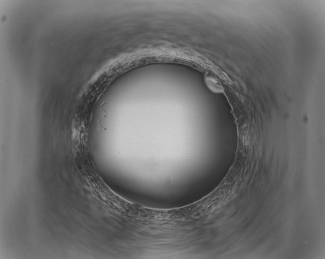 X0000086881495200704231049