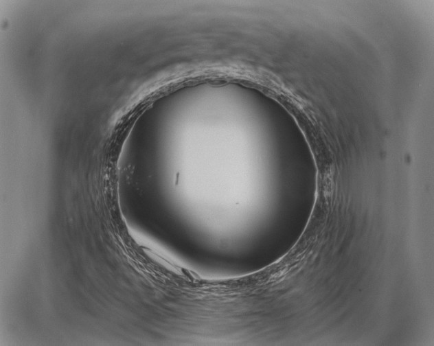 X0000086881496200704231049