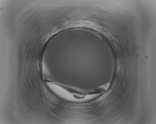 X0000086881497200704231050