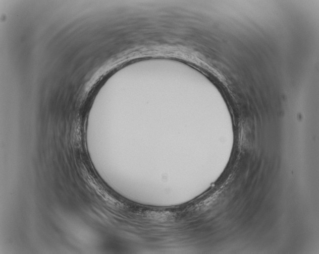 X0000086881498200704231050