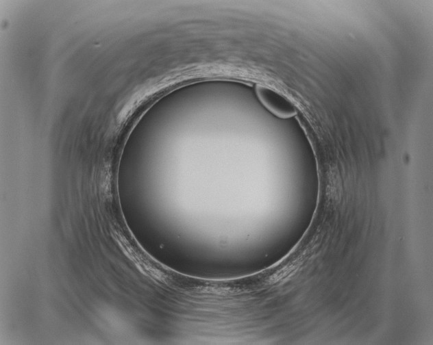 X0000086881499200704231050