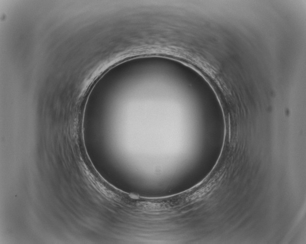 X0000086881500200704231050