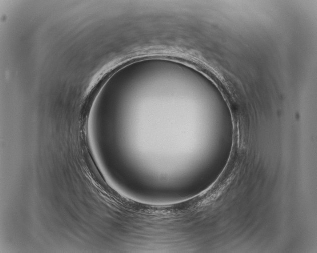 X0000086881501200704231050