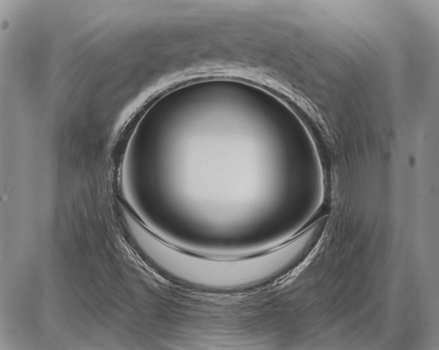 X0000086881502200704231050