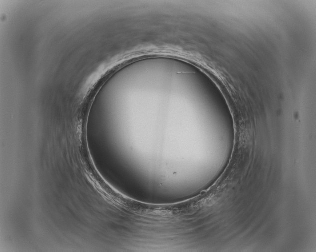 X0000086881503200704231050