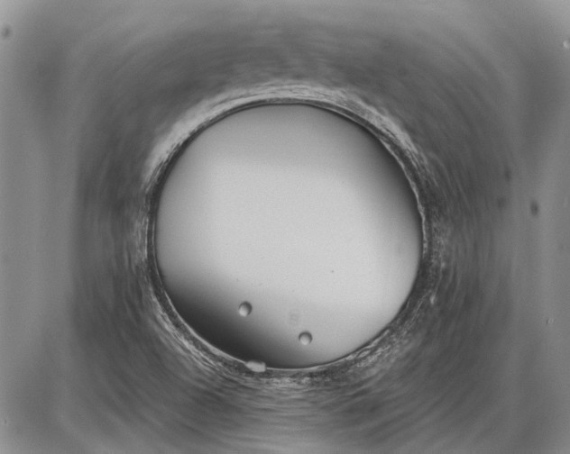 X0000086881504200704231050