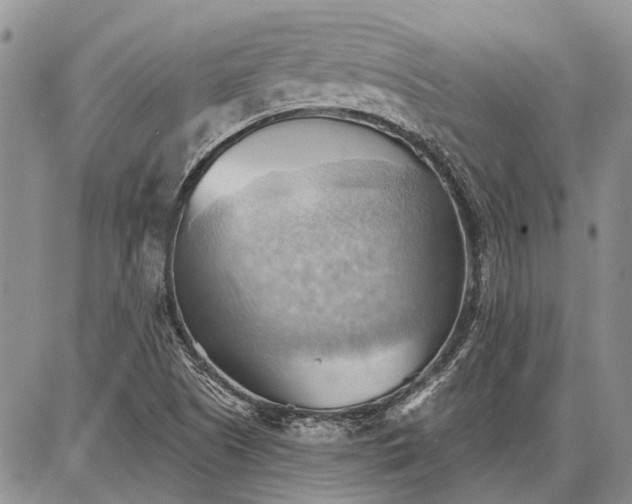 X0000086881505200704231050