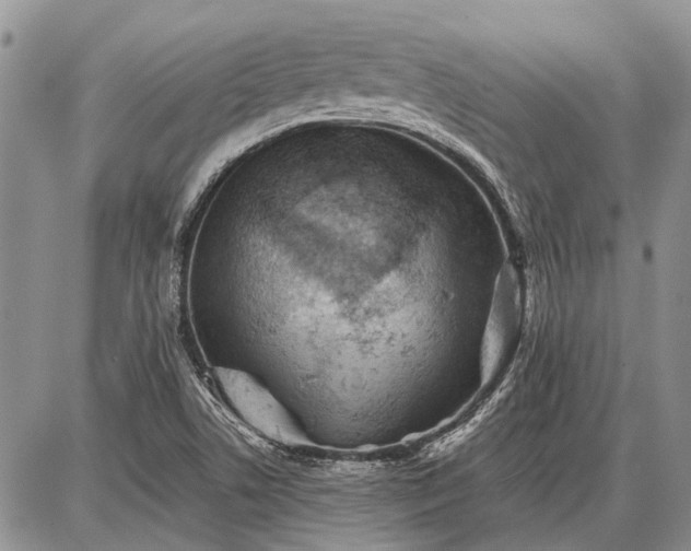 X0000086881506200704231050