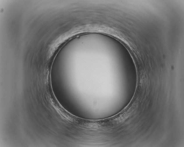 X0000086881507200704231050