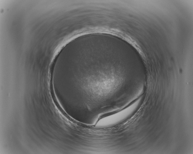 X0000086881508200704231050