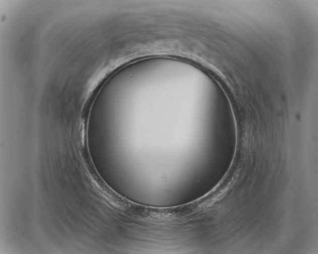 X0000086881509200704231050