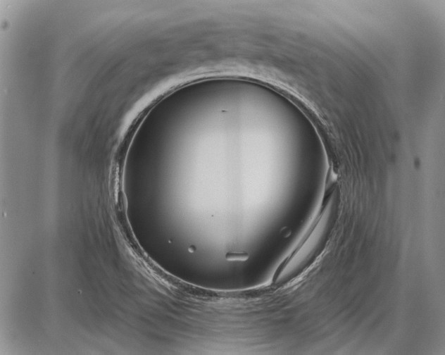 X0000086881510200704231050