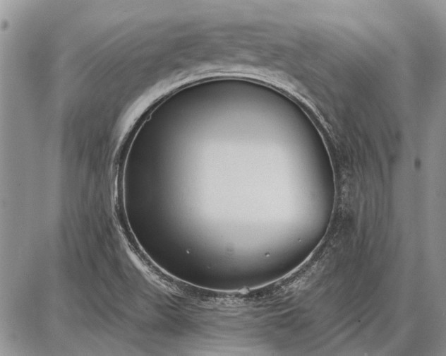 X0000086881511200704231050