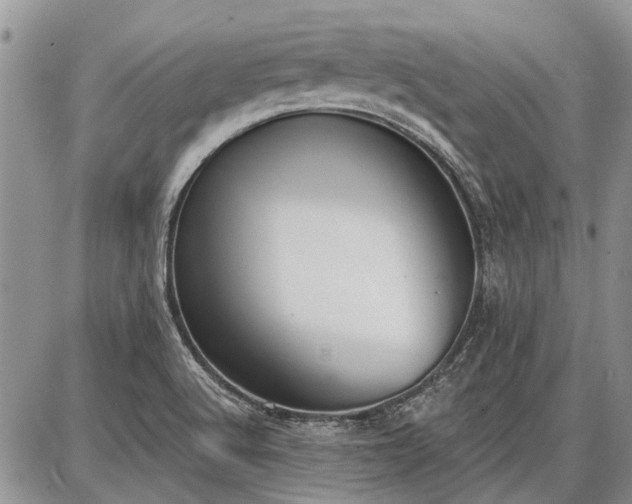 X0000086881512200704231050