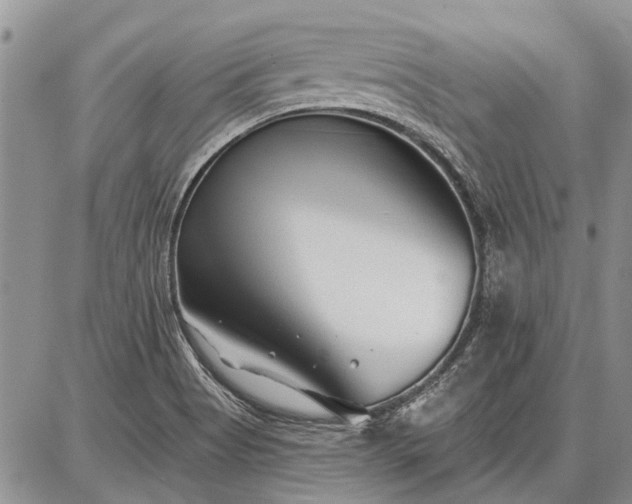 X0000086881513200704231050