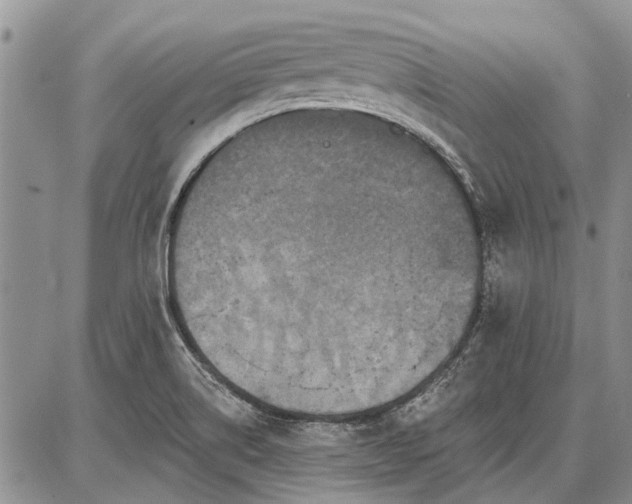 X0000086881514200704231050