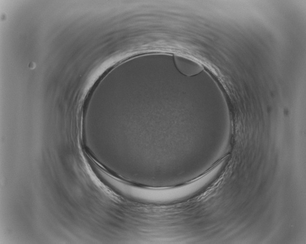 X0000086881515200704231050