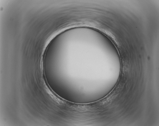 X0000086881516200704231050