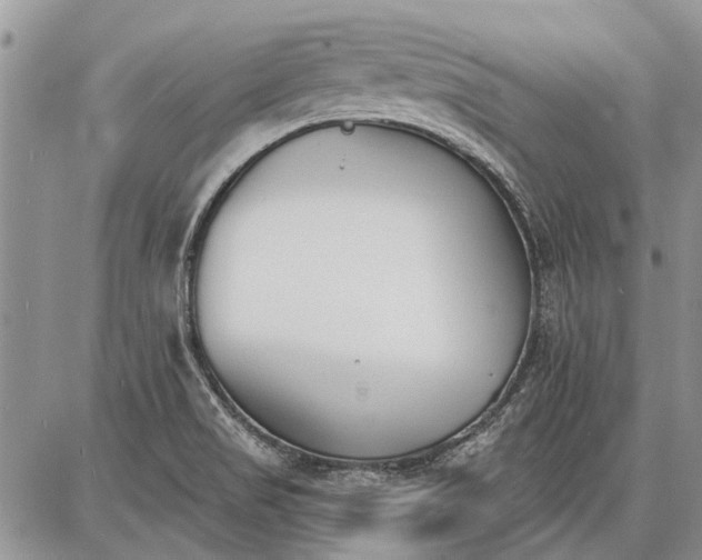 X0000086881517200704231050