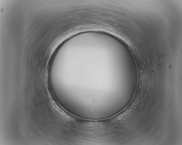 X0000086881518200704231050