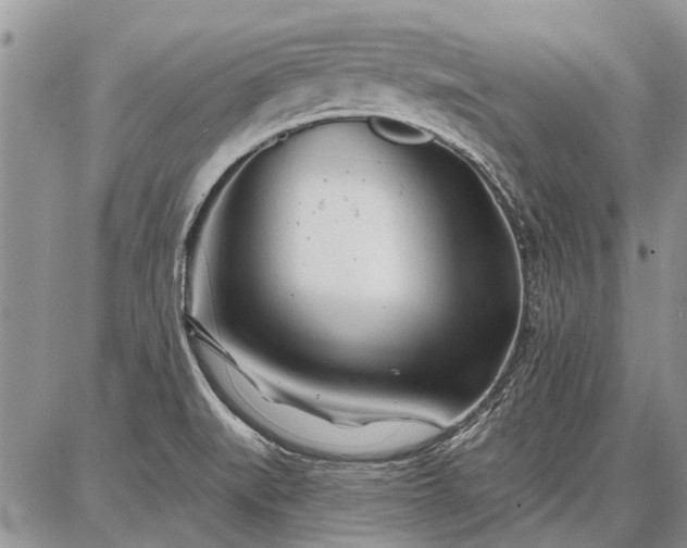 X0000086881519200704231050