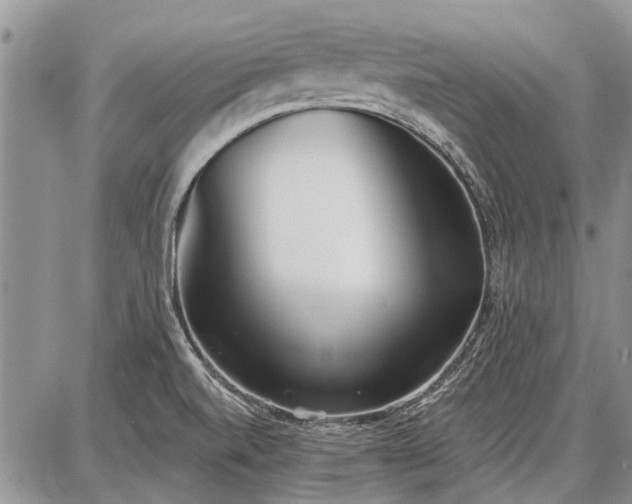 X0000086881520200704231050