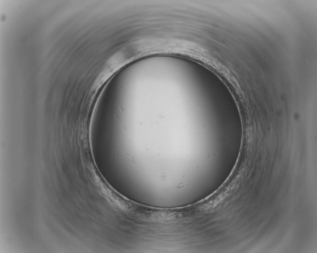 X0000086881521200704231050