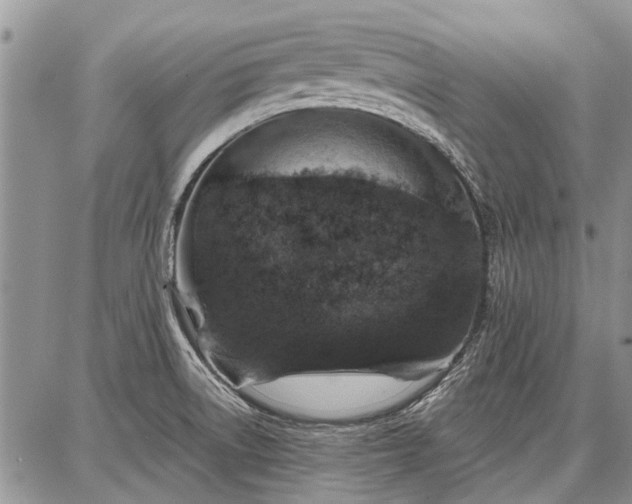 X0000086881522200704231050