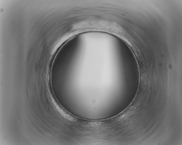 X0000086881523200704231050