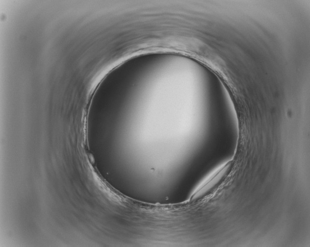 X0000086881524200704231050