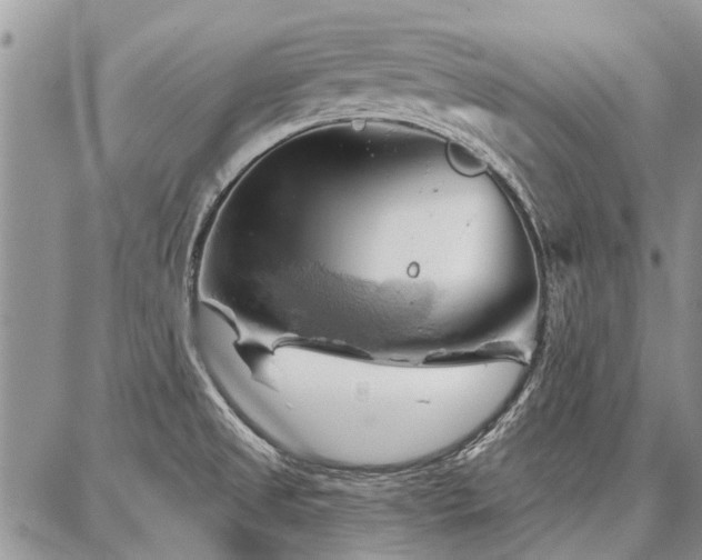 X0000086881525200704231050