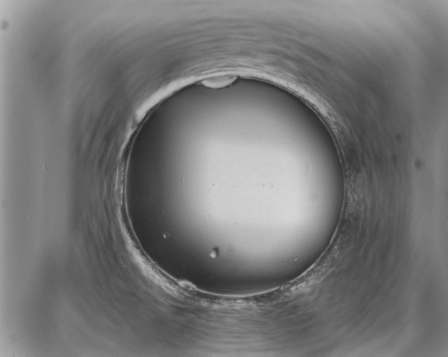 X0000086881526200704231050