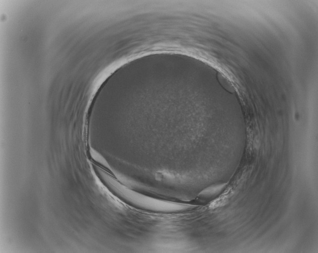 X0000086881527200704231050